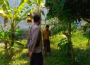 Ketahanan Pangan, Polisi Motivasi Warga Manfaatkan Pekarangan Rumah di Desa Perampuan