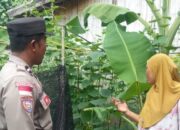 Pekarangan Bergizi di Sekotong Barat, Polri Berperan Aktif Dukung Ketahanan Pangan