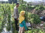 Sinergi Polri dan Petani, Bhabinkamtibmas Dorong Optimalisasi Lahan