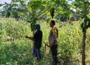 Polisi dan Petani Bersinergi, Ketahanan Pangan Jadi Prioritas!