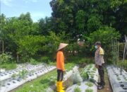 Warga Jagaraga Semangat Tanam, Berkat Dorongan Polisi