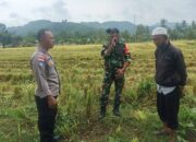 Kedekatan Polisi dan Petani, Panen Jadi Nyaman