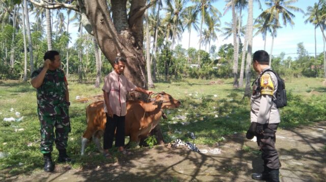 Bhabinkamtibmas Batulayar Giatkan Pertanian Pekarangan Warga