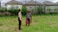 Bhabinkamtibmas Terong Tawah Aktif Dorong Ketahanan Pangan di Tingkat Desa