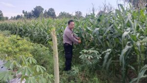 Silaturahmi Kamtibmas dan Pangan: Peran Polisi di Desa