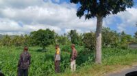 Perhatian Polri untuk Petani Lombok Barat: Edukasi dan Pendampingan Langsung