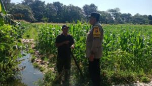 Bhabinkamtibmas Gerung Selatan Perkuat Ketahanan Pangan dan Kamtibmas Melalui Silaturahmi
