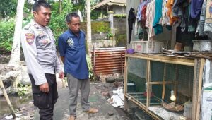 Pekarangan Jadi Lumbung: Inovasi Pangan di Desa Jagaraga