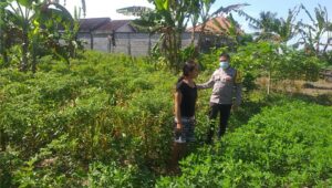 Ketahanan Pangan Desa Jagaraga Diperkuat Lewat Pendampingan Polri