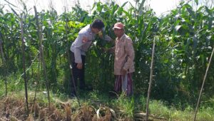 Bhabinkamtibmas Sosialisasi Pemanfaatan Lahan Kosong untuk Pangan