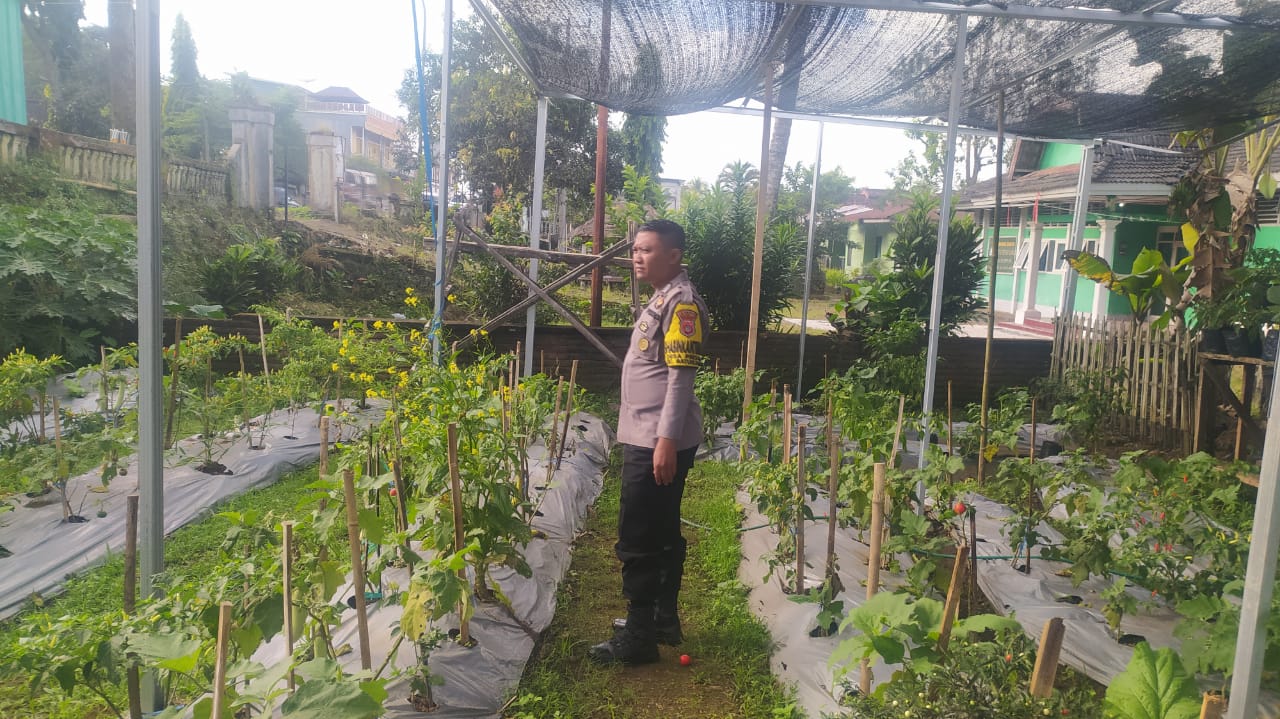 Gambar WhatsApp 2025-06-12 pukul 12.19.05_0cb05713