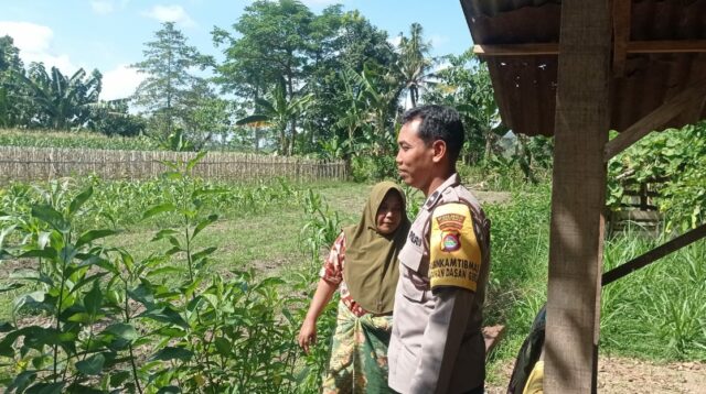 Gerakan Pekarangan Bergizi Mulai Diterapkan di Dasan Geres