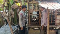 Ketahanan Pangan Desa Babussalam Didukung Aktif Polri