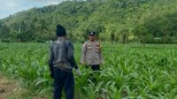 Kunjungan DDS: Ketahanan Pangan dan Kamtibmas Jadi Fokus Polisi Sekotong