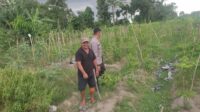 Kolaborasi Warga dan Polisi Dorong Pemanfaatan Pekarangan di Labuapi