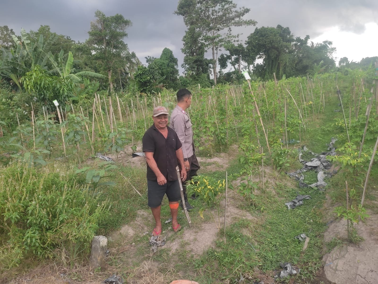 Kolaborasi Warga dan Polisi Dorong Pemanfaatan Pekarangan di Labuapi