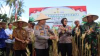 Dukungan Penuh Polri dan Pemda dalam Panen Raya Jagung NTB