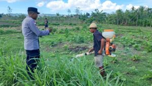 Polri Dorong Pertanian Produktif di Desa Pelangan, Sekotong