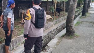 Inisiatif Bhabinkamtibmas di Lombok Barat: Pekarangan Jadi Lumbung Pangan