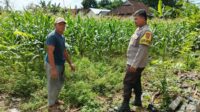 Polres Lombok Barat Dorong Ketahanan Pangan Desa Jembatan Gantung