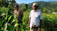 Langkah Strategis Polri Jaga Ketahanan Pangan di Desa Mareje Timur