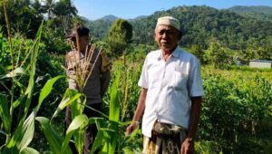 Langkah Strategis Polri Jaga Ketahanan Pangan di Desa Mareje Timur