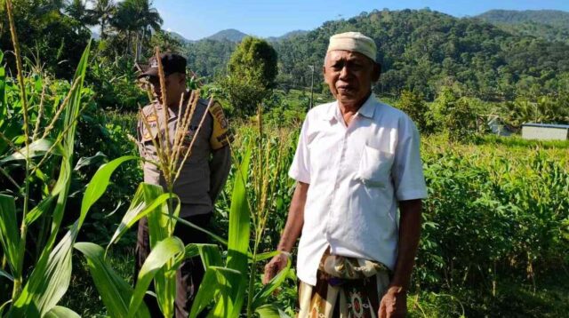 Langkah Strategis Polri Jaga Ketahanan Pangan di Desa Mareje Timur