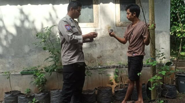 Batulayar Bangkitkan Ketahanan Pangan Lewat Pekarangan Bergizi