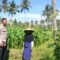 Sinergi Polri dan Petani Eyat Mayang Perkuat Ketahanan Pangan Nasional