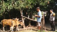 Ketahanan Pangan Berbasis Komunitas di Dusun Melase