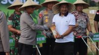 Ketahanan Pangan NTB, Polda dan Pemda Tanam Jagung Serentak di Lombok Barat