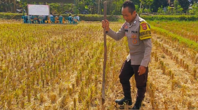 Kunjungan Bhabinkamtibmas Kuripan Utara, Ajak Petani Dukung Ketahanan Pangan Nasional