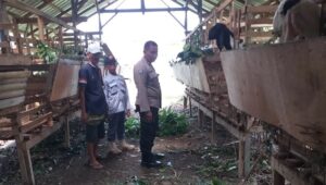 Kuripan Timur Dorong Kemandirian Pangan Lewat Pendampingan Warga