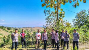 Polres Lombok Barat Dampingi Polda NTB Tinjau Lahan Jagung di Sekotong