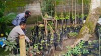 Polri Dorong Ketahanan Pangan dari Pekarangan Warga Kuripan Utara