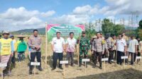 Sinergi Polri, TNI, dan Warga Dukung Swasembada Pangan di Jagaraga, Kuripan
