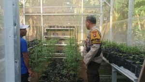 Sinergi Polsek Batulayar dan Warga untuk Pangan Mandiri