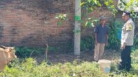 Sinergi Polri dan Warga Lembar Selatan Wujudkan Kemandirian Pangan Keluarga